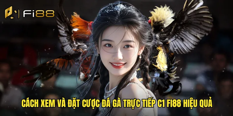 Cách xem và đặt cược đá gà trực tiếp c1 Fi88 hiệu quả