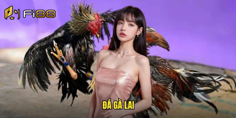 đá gà lai