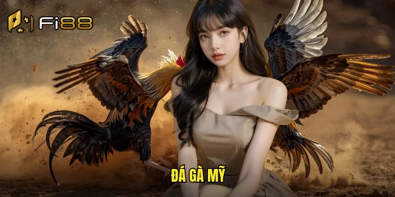 đá gà mỹ