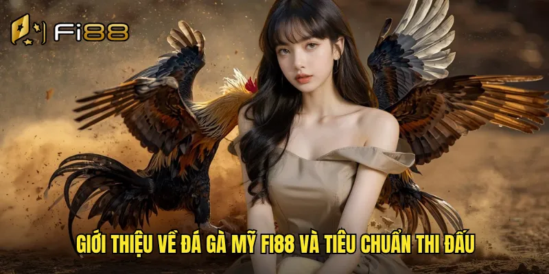 Giới thiệu về đá gà mỹ Fi88 và tiêu chuẩn thi đấu