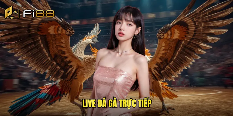 live đá gà trực tiếp