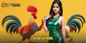 gà đá vảy rồng